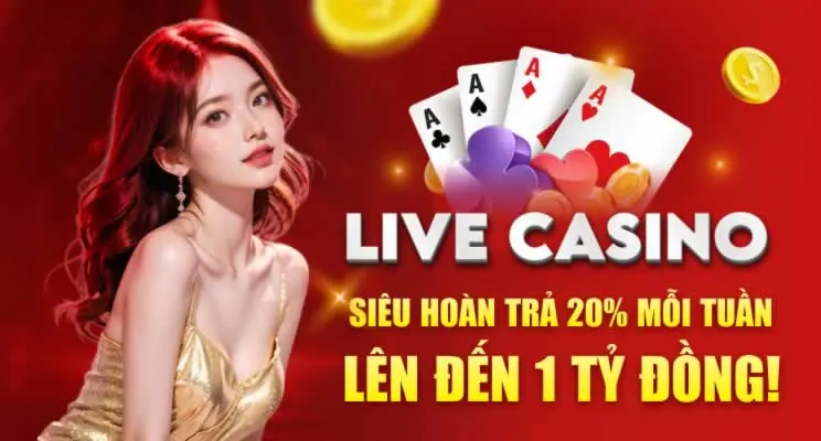 Đối chiếu thông tin thay vì suy đoán - 84Win